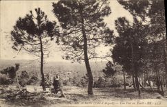 CPA Arcachon Une Vue en Foret