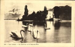 VINTAGE POSTCARD Lake Leman Island Chartran and Dent du midi Swans