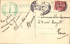 VINTAGE POSTCARD Chamonix Mont Blanc View taken of Saleve Hotel of the thirteen trees