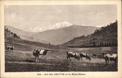 VINTAGE POSTCARD Chamonix Mont Blanc Collar of Aravis Cows