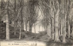 CPA La Vicomte Un Sous Bois