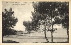 VINTAGE POSTCARD Holy Brevin Pines Rocks of the Punch