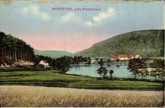 VINTAGE POSTCARD Baerenthal close Niederbronn