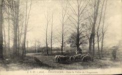 VINTAGE POSTCARD Angouleme In the Valley of L Anguienne Sheep