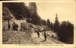 CPA Le Cantal Pittoresque La Route Dans la Foret
