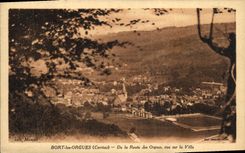 VINTAGE POSTCARD Bort Organ Of the Road of the Organ Seen on the City