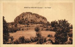 VINTAGE POSTCARD Bort Organ Organ