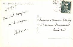 CPA Carnac Dans les Alignments de Kermario