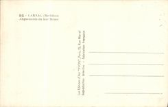 VINTAGE POSTCARD Carnac Alignments of Ker Menec