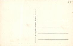 CPA Lourdes L autel de la source miraculeuse