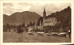 CPA Lourdes La Basilique Vue de la prairie de la Grotte