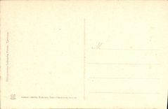 CPA Lourdes L Esplanade et la Basilique