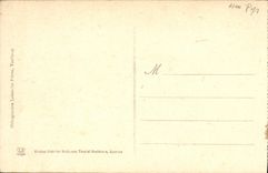 CPA Lourdes Vue sur la Ville et la Basilique de la Route de Pau