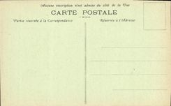 CPA Lourdes La Basilique et la Vallee d Argeles