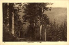 VINTAGE POSTCARD Hohwald the Drill