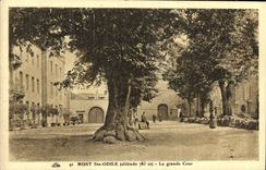 CPA Mont Sainte Odile La Grande Cour