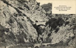 CPA Environs d Amelie Les Bains Ponts sur la Route de Palalda