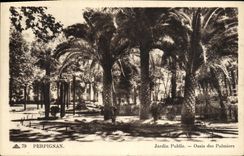 CPA Perpignan Jardin Public Oasis des Palmiers