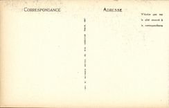 VINTAGE POSTCARD Holy Saver View and Column of the Duchess of Berry