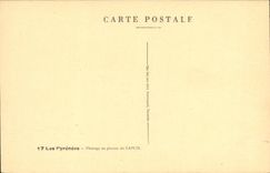 VINTAGE POSTCARD the Pyrenees Mount Louis Plate of Capciz Cows