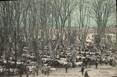 VINTAGE POSTCARD Tarbes Forail Vaches Oxen Goes TOP