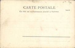 VINTAGE POSTCARD Road of Cauterets