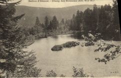 CPA Ballon d Alsace Etang des roseaux