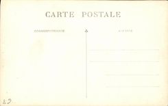 VINTAGE POSTCARD Munster Storks