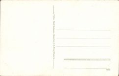 POSTAL Gesamtansicht Colmar de la VENDIMIA