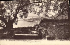 CPA Menton Sous les Oliviers 