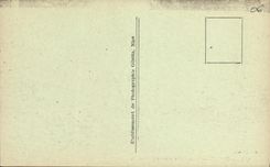 CPA Menton Sous bois au Cap Martin