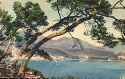 CPA Menton Paysage du Cap Martin