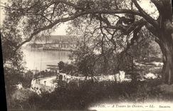 CPA Menton A Travers les Oliviers