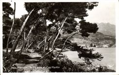 CPA Menton Sous bois au Cap Martin