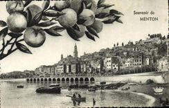 CPA Souvenir de Menton Citrons