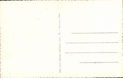 CPA Souvenir de Menton Citrons