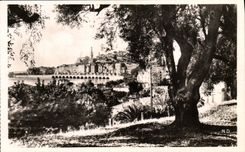 CPA Menton Vue prise entre le Oliviers 