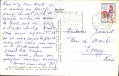 CPA Les Sites Merveilleux de la cote D Azur Menton Les jardins du Casino 