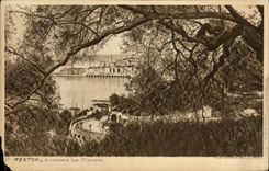 CPA Menton a travers les Oliviers