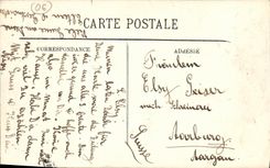 CPA Menton Une Allee de Palmiers