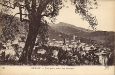 POSTAL de la VENDIMIA grasa vista entre Oilviers