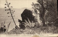 CPA St Jean Cap Ferrat La pointe St Hospice Vue prise du Cap Roux