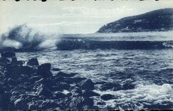 CPA Cap Ferrat Coup de Mistral