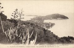 CPA St Jean Cap Ferrat Etude d Aloes Vue generale du Cap Ferrat