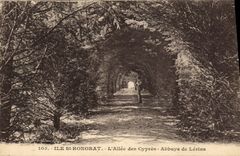 CPA lle Saint Honorat L Allee des Cypres Abbaye de Lerins