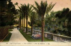 CPA Cap D Antibes Villa Eilenroc Allee des Palmiers