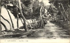 CPA Cap Martin Sous Bois