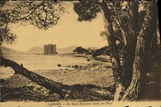 VINTAGE POSTCARD Cannes L the Honorat Saint enters the Pines