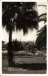 VINTAGE POSTCARD Cannes Suquet Seen of the Gardens of the Small cross