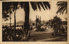 VINTAGE POSTCARD Cannes the Gardens sweats the Small cross